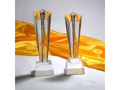 上海水晶奖杯、水晶奖杯定制、优秀团队奖杯、优秀组织奖杯制作