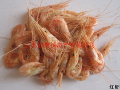 供应红虾、鹰爪虾、琵琶虾（皮皮虾、虾耙子、虾蛄）、螃蟹