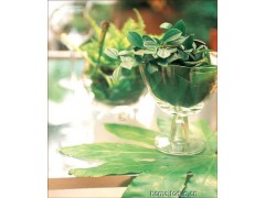 原装进口各类花水纯露