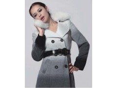 菲纹服饰—打造中国最强的品牌折扣女装财富商圈 菲纹服饰—打造中国最强的品牌折扣女装财富商圈