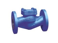 WH41H波纹管止回阀/上海腾重阀门