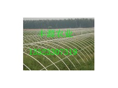 安阳丰源供应蔬菜大棚支架机，大棚骨架