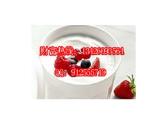 冰之乐酸奶机，自动恒温酸奶机，永诚牌酸奶机