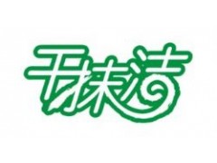 干抹洁——颠覆传统的清洁生活，引领清洁生活新潮流！