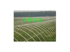 安阳丰源供应花卉大棚骨架机，大棚支架机