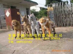 游乐实施毛绒动物玩具车 毛绒动物电动车-芜湖源瑞