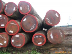 上海木材进口代理&上海木材进口报关公司