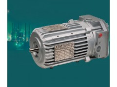 供应CEMP特种小功率防爆电机