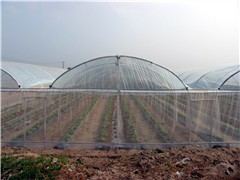 安阳恒达供应新型抗压大棚 蔬菜大棚，骨架机，支架机