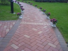 供应园林砖、烧结砖、真空砖、人行道砖、透水砖