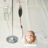 婴儿头部注射模型,婴儿头皮静脉穿刺训练模型