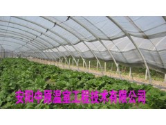 钢管镀塑种植大棚骨架 蔬菜大棚 中原温室工程