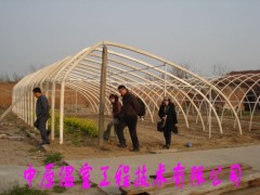无支柱温室大棚骨架 大棚支架 中原温室工程