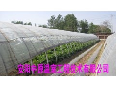 钢管镀塑大棚骨架 大棚支架 无支柱大棚 中原温室工程