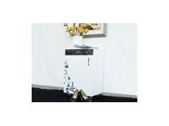 吉利玛电子鞋柜跟随时代的脚步