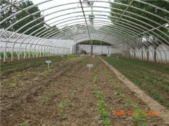 第五代大棚大棚骨架机 保温板温室大棚 五洲