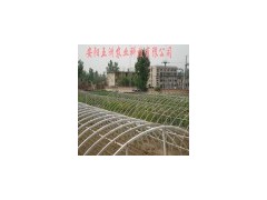 大棚骨架机 蔬菜大棚 无支柱大棚 花卉大棚 五洲