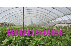 钢架无支柱蔬菜大棚支架 温室大棚骨架 中原温室工程