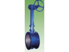 法兰式蜗轮驱动加长杆蝶阀