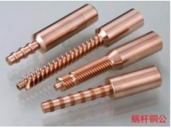蜗杆电极，蜗杆铜公