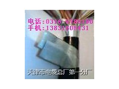 铠装通信电缆HYA53 MHYA32 MHYV22