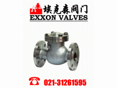 止回阀供应|上海埃克森阀门有限公司