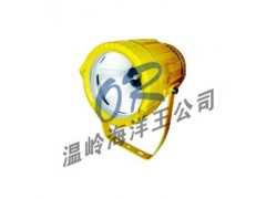 OR-DGS70/127B(A)矿用隔爆型投光灯