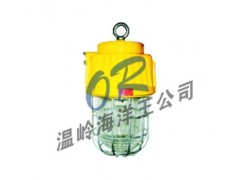OR-DGS70/127B(B)矿用隔爆型泛光灯