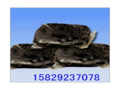 南昌 景德镇 九江 萍乡 新余 鹰潭 赣州 宜春 上饶 吉安 抚州防爆胶泥