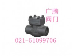 【h61h-800lb锻钢止回阀】