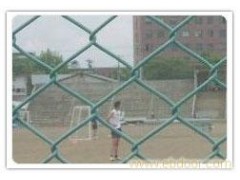 安平县丰瑞专业生产勾花网