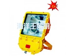 海洋王灯具BFC8110防爆泛光灯BFC8110 海洋王灯具BFC8110防爆泛光灯BFC8110