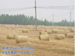 万能自动捡拾进料打捆机 万能自动捡拾进料打捆机