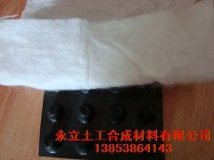 屋顶花园绿化用排水板超低价 屋顶花园绿化用排水板超低价