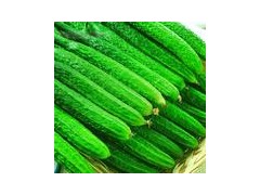 中山工厂饭堂承包 后勤管理 餐饮管理板芙