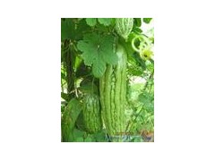 中山饭堂承包膳食管理供餐服务南头