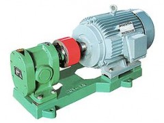 2CY齿轮泵_不锈钢齿轮泵_齿轮油泵 2CY齿轮泵_不锈钢齿轮泵_齿轮油泵