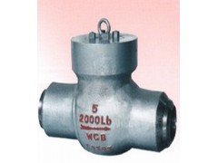 磅级电站旋启式止回阀‖郑州霍尼韦尔阀门有限公司