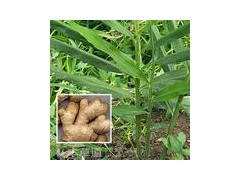 中山饭堂承包食堂外包餐饮管理