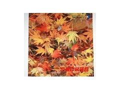 画廊广告画布印刷机/平面喷墨印刷机/洛阳新福龙