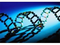 提供广西亲子鉴定,河池亲子鉴定,玉林,桂林,柳州DNA高位的基因鉴定