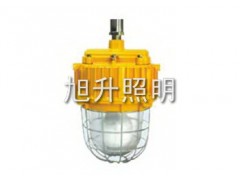 生产厂家推荐供应CBPC8731防爆平台灯 生产厂家推荐供应CBPC8731防爆平台灯