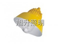 生产厂家推荐供应CBPC8700防爆平台灯 生产厂家推荐供应CBPC8700防爆平台灯