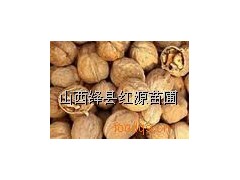 供应白皮松籽华山松籽侧柏籽油松籽核桃籽