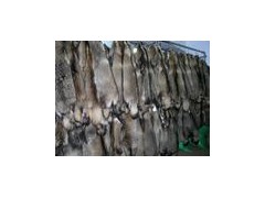 廣州鹽濕牛皮進口清關代理 廣州鹽濕牛皮進口清關代理