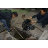 上海闵行区环卫抽粪管道清洗下水道疏通清理隔油池50917081