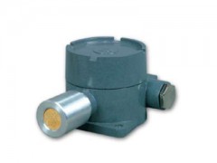 RB-TZY气体检测仪