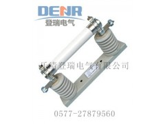 XRNT1-6/63A高压熔断器 XRNT1-6/63A高压熔断器