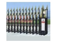 电动门伸缩门-质优价廉-上海-古典门 电动门伸缩门-质优价廉-上海-古典门