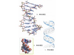 广西DNA亲子鉴定广西亲子鉴定受理范围有哪些